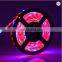 Светодиодные ленты для выращивания растений 5050 SMD LED Plant Strips Light длиной 16,4 фута для аквариума, теплицы и гидропоники