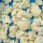 Frozen White Chinese Cauliflower in Bulk