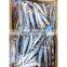 Small package IQF frozen sardine fish export for fishing
