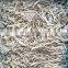 Promotion of New Crop 10 * 10MM IQF Fresh  frozen Burdock silk