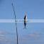 Fiberglass Pure Carbon fiber Tuna fishing  rod Vessel (Jack) Lift  Pole / fishing rod for tuna, 2.5m, 3.5m, 4.5m, 5m