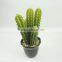 Latest design home decor artificial plants artificial succulent plants wholesale