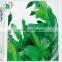 High quality colored silk screen glass with digital printing