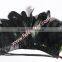 Indian Headdress Material Feather Peacock Feather And Cock Feather For Halloween Items