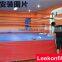 ring boxing equipment/outdoor boxing ring/inflatable fighting ring boxing