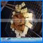 304 Stainless steel barbecue wire mesh Hot sale portable folding japanese type korean bbq grill table