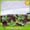 3 Years Warranty Agriculture Protection Mat /non woven Ground Cover