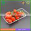 Hot sale low price blister PET plastic food tray