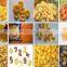 Hot Selling Core Filling Snacks Extrusion Machinery