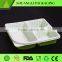 100% biodegradable food container