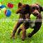 customized promotional pet tennis ball