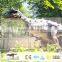 OA3176 Vivid Life Size Robotic Jurassic Dino World