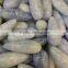 Natural High Quality Kyanite Stones Massage Wands