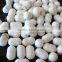 THP-40 easy operation automatic camphor ball press machine