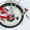 Doyayama Bicycle Electric Foldaway Bike with Lithium -ion Battery YZ