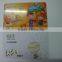 custom made full color printing PVC credit card with serial number