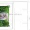 paper slotted photo cards