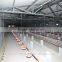 salable automatic broiler poultry farm equipment