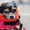 Wholesale Dog Pet Life Jacket Fashion Dog Pet Life Jacket PT185