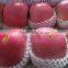 Fuji Apple of Apple Varieties