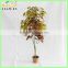 home decorative artificial potted fruits tree factory