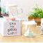 High borosilicate material creative fruit glass cup with ceramic spoon and lid for restaurant