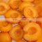IQF frozen apricot