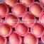 2015 new season corp fresh fruit fuji apple wholesale for exporting