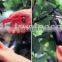Garden pruning shears professional pruning tools Made in Japan