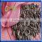 Common Cultivation Type and Blanched Processing Type sunflower seeds for human consumption