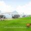 Goldenest Pan Feeding System for poultry/broiler feeding system