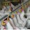 automatic chicken feeder