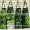 hanging plant bag for garden