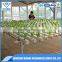 hydroponic systems hydroponic nft greenhouse hydroponic greenhouse systems