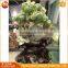 High Quality Reality Polish Natural Jade Fruit Carving