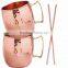 MOSCOW MULE MUGS with Straw/ copper mug with copper straw/ SOLID COPPER MUGS MANUFACTURER INDIA