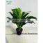 SAS201604 Cheap Artificial Green Plant Bonsai,Indoor Decor Green Plants