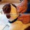 Hot Sell Don Sullivan Perfect Dog Adjustable Large Command Training Collar