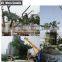 Natural look artificial banyan tree outdoor 20 meter high banyan ficus tree