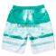 Custom Print Board Sublimation Shorts Polyester Shorts Spandex Stretch