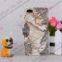 Map Pattern Magnetism PU Leather Case With Stand Holder For iPhone 5
