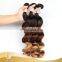Virgin 100% Human Hair No Died Ends 3 Tone Color Loose Wave