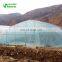 Agriculture Hoop Multi-span Greenhouse Covered By Plastic Film