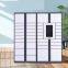 China smart Parcel Delivery Locker // H1980*W900*D500mm size steel locker