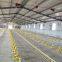 steel structure poultry shed for chicken cow farming