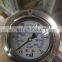 High quality Glycerin Pressure Gauge 0~500bar