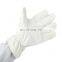 Dust Free 200 degree heat resistant gloves Anti Static Anti-scald High Temperature Resistant Factory Workshop Protection