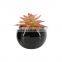 High quality cheap indoor home decor artificial succulent plant with ceramic pot