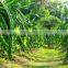 Thanh Dat Agricultural Seafood Processing Company Limited