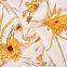 New Product 165-170GSM Soft 100% Viscose Fabric Flower Print Fabric for Dress